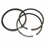 Комплект поршневых колец D80 ( 3шт.) для LB-50, LB-75 (21145004)